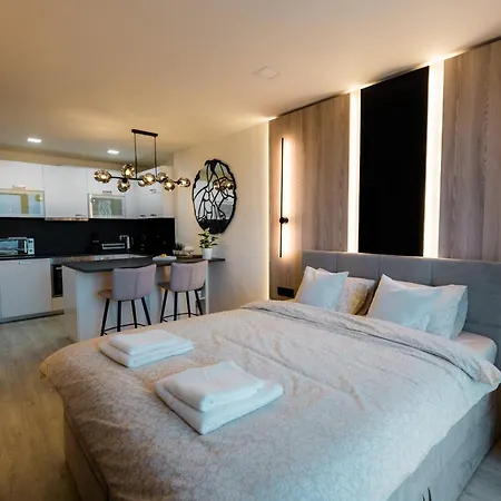 Luxury In The Center Of Appartement Brno