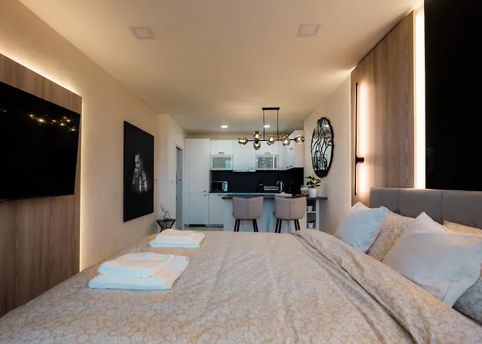 Luxury In The Center Of * Brno